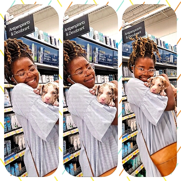 Meet your Posher, Shardea - Picture 3 of 4